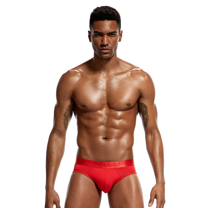 4 PCS Men Fashion Sexy Gay Classic Men's Briefs New Male Sleepwear