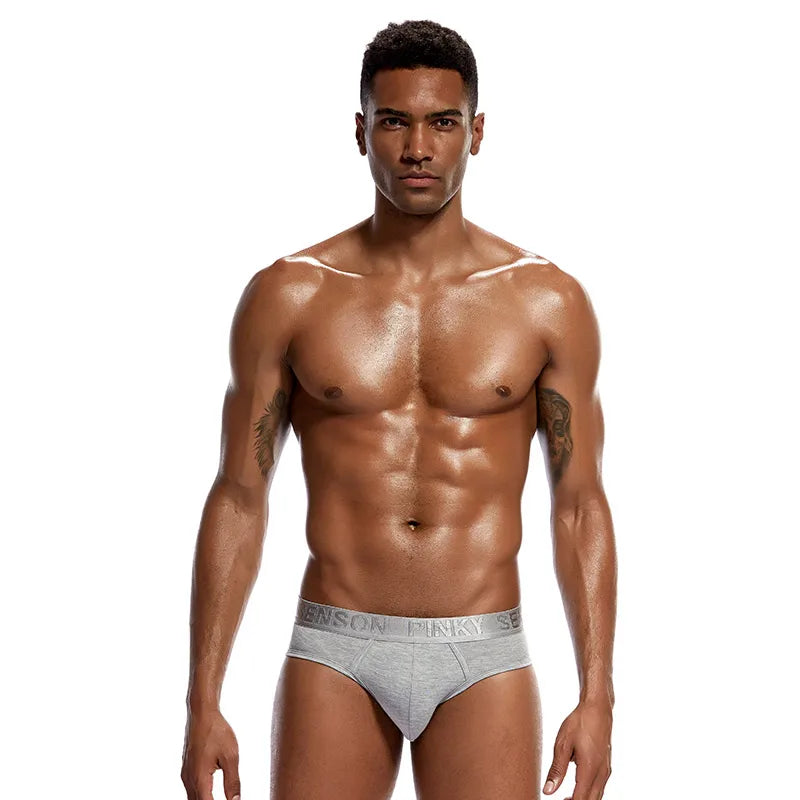 4 PCS Men Fashion Sexy Gay Classic Men's Briefs New Male Sleepwear