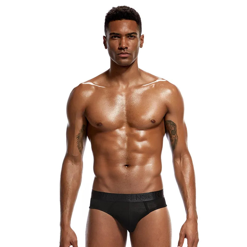 4 PCS Men Fashion Sexy Gay Classic Men's Briefs New Male Sleepwear